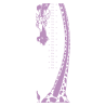 Sticker toise girafe