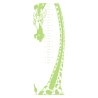 Sticker toise girafe