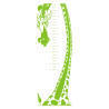 Sticker toise girafe