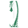Sticker toise girafe