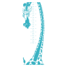Sticker toise girafe